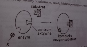 E2e51263-8172-4fc9-93b0-76b3de9256d8